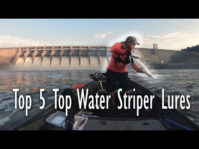 Striper Fishing  Top 5 Fall Top Water Striper Lures 2019 - OOW Outdoors 