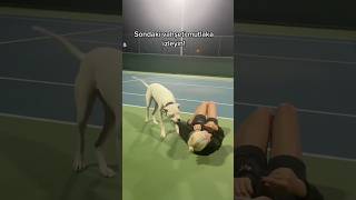 Dogo Arjantin Saldırdı Dehşet Dolu Anlarım..