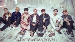 BTS - Blood Sweat & Tears (Empty Arena Version)