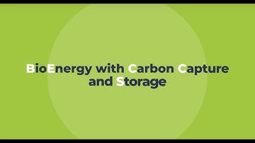 What is Bioenergy with Carbon Capture and Storage (BECCS)? - Bioenergy Applied