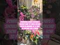 Pondering Which Orchids I Should Send to CVIOS Orchid Show in Nanaimo BC & How to Prepare for a Show