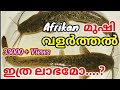 ആഫ്രിക്കൻവളർത്തുമീനുകൾ African Mushi(മുഷി) പെട്ടെന്നു ലാഭം കൊയ്യാം , Fish Tank Water Changing...