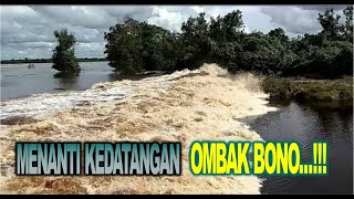 DETIK-DETIK KEDATANGAN OMBAK BONO DI TELUK MERANTI SUNGAI KAMPAR - RIAU
