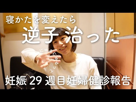 【妊娠８ヶ月】寝方を工夫したら逆子が治った　妊娠29・31週目妊婦健診【妊娠レポ→37歳初妊娠・高齢出産・初産】