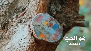 هو الحب || للشاعر أ. حسين آل سهوان || أداء نسيم الجشي || تصوير عادل_الجفيري  - البحرين