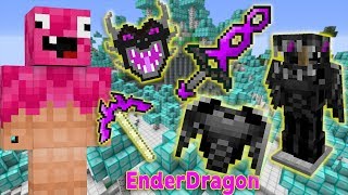 If EnderDragon Tools Existed - Minecraft