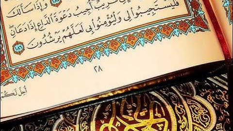 سورة الفجر - توفيق الصائغ - Quran Kareem