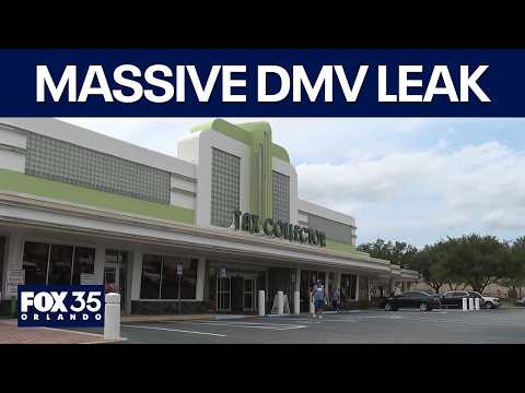 FLDMV data breach exposes 200,000 driver records