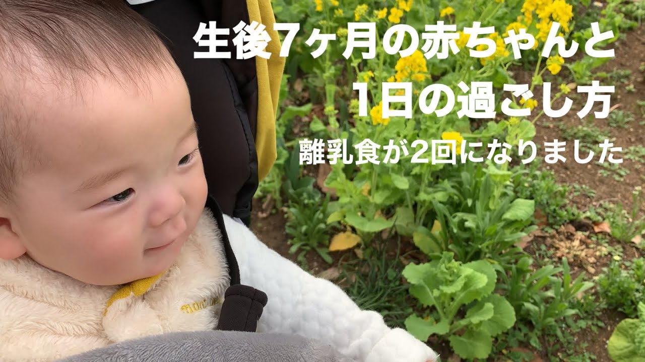 生後7ヶ月 1日の過ごし方 Youtube