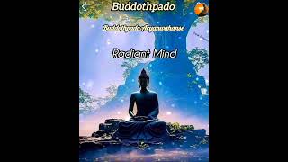 Buddothpado Radiant Mind