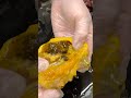 旬のホヤ簡単レシピ！