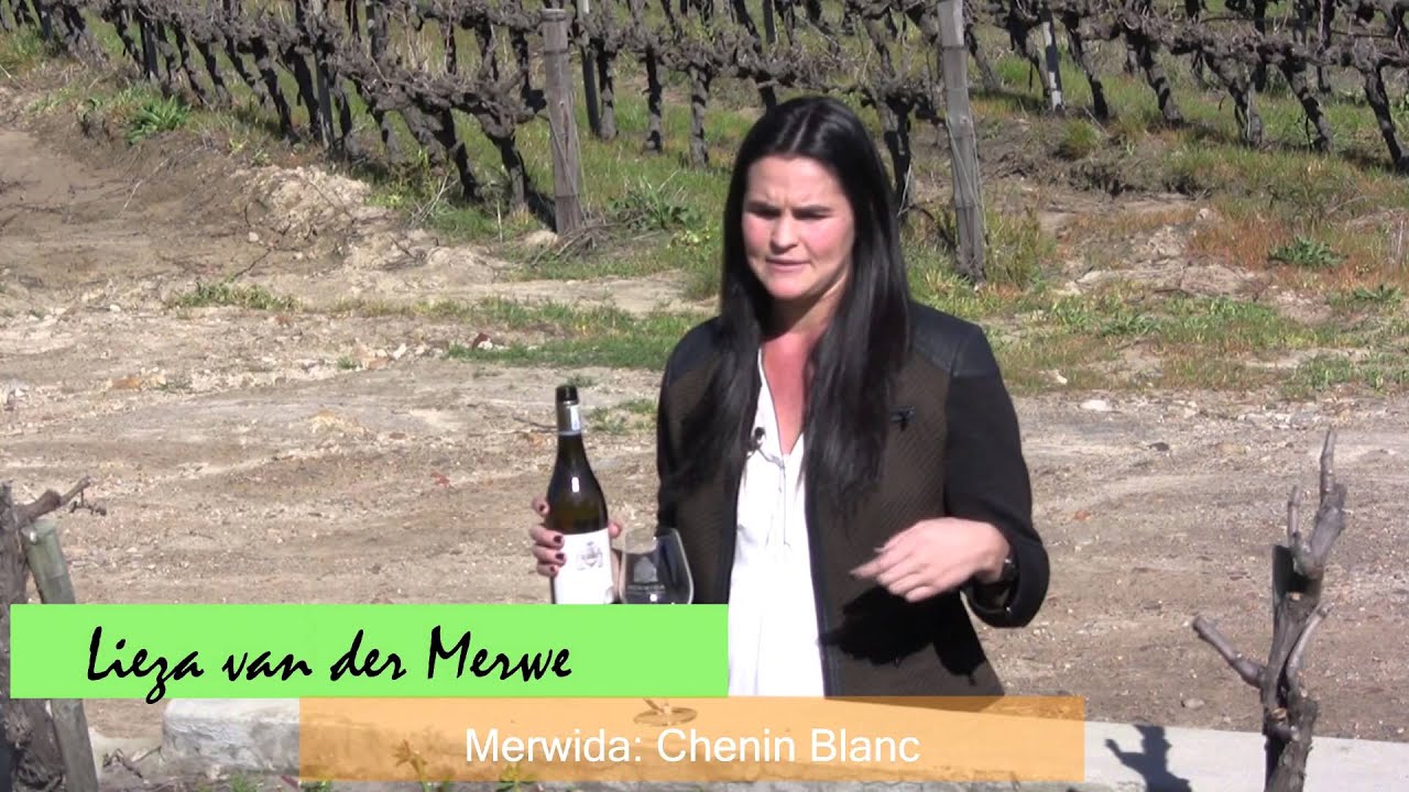 Breedekloof chenin Initiative pt 2