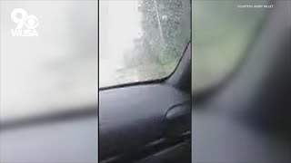 Trees, power lines down as possible tornado touches down near Annapolis
