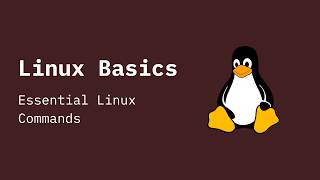 Linux Basics : #4 Essential Linux Commands