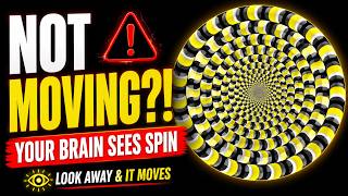 Your Peripheral Vision Invented The Rotation Rotating Snakes