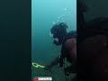 Found a Whole Shipwreck Out Here