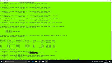 Load Sharing Mirrors NetApp Cmode 9.4