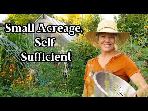 First Steps to a Self Sufficient Homestead (No Farm Required!)
