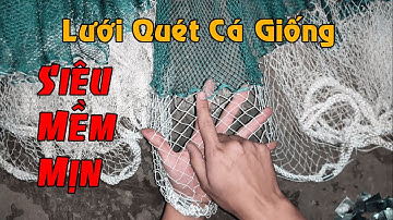 Dài 50m Cao 5m Túi 7m Gia Công Lưới Kéo Cá Giống | Sản Xuất Lưới Quét Cá - Kéo Cá - Sợi Dù - Cước