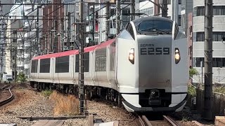 E259系0番台ｸﾗNe018編成が恵比寿駅4番線を通過するシーン