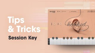 Arcade by Output - Tips & Tricks: Session Key
