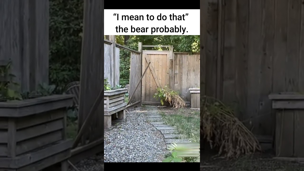 "Beware Od Dog" The Dog🐶🐕| Memes | Bear Edition of 'I Mean to Do That'! Oppenheimer - Hentai