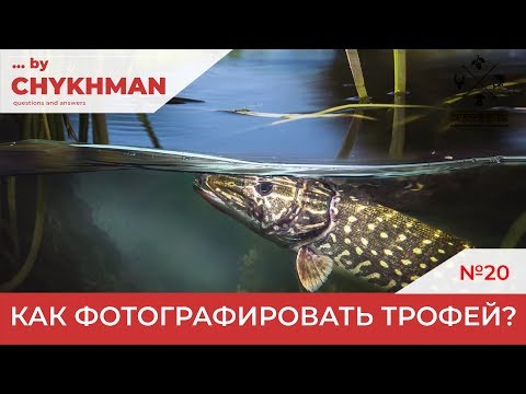ვიდეო: როგორ დატრიალება Pike