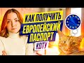 ПОЛУЧИЛА ЕВРОПЕЙСКИЙ ПАСПОРТ КОТУ | регистрация кота в Литве