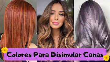 ¿Qué color de pelo disimula mejor las canas?