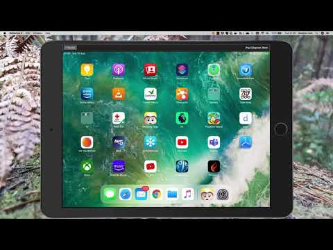 Setup and deploy of first iOS App with Delphi