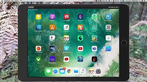 Setup and deploy of first iOS App with Delphi