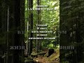 Аффирмация дня - Психолог Владимир Новиков #психология,  #аффирмации, #работаспсихологом, #психолог