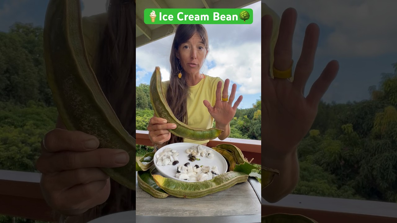 Inga Edulis- it goes by dozens of names but on Kauai we call it Ice Cream Bean. Watery cotton candy!