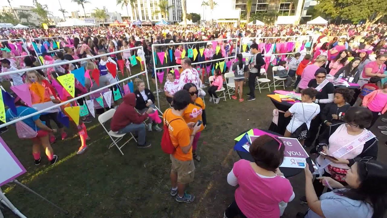 Making Strides San Diego 2014 Memory Flags YouTube