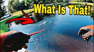 Absolutely Shocking What I Found Magnet Fishing In Park Pond!!! (CRAZY)