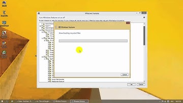 How to instal IIS Internet Information Services for windows 8.1 pro