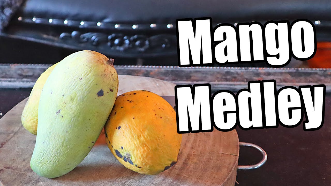 Biggest mangos on the camera