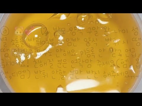 🐹🎀 ×× 소통 잘 해주는 반모방 다 받는 반모방 친화력 좋은 반모방 복불 안 받는 반모방 친해질 사람 구해요