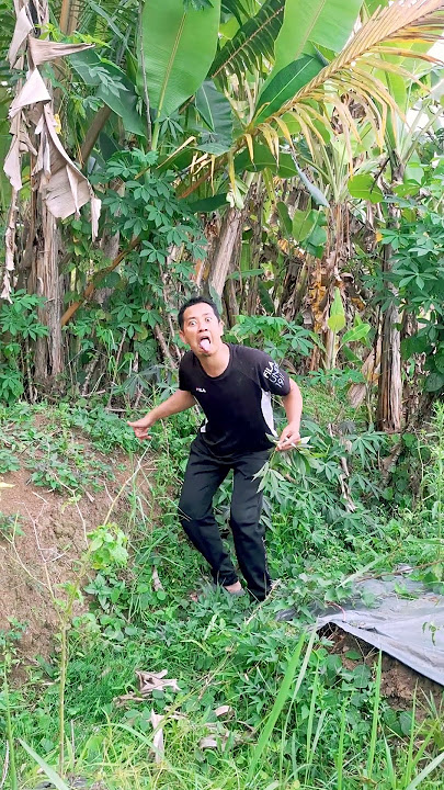 Mau ketawa takut dosa video lucu bikin ngakak #funny #comedy #memengakakkocak #ngakak #viralvideo