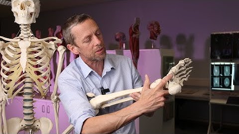 Beknelling van de tarsale tunnel en de nervus tibialis