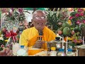 Thiền Sư An Lạc Hạnh|”10-09/2024/giáp thìn