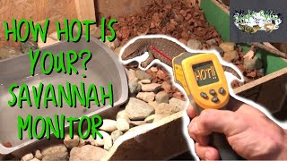 Famous Savannah Monitor Care Enclosure Basking Temperature and Heating Wealth
