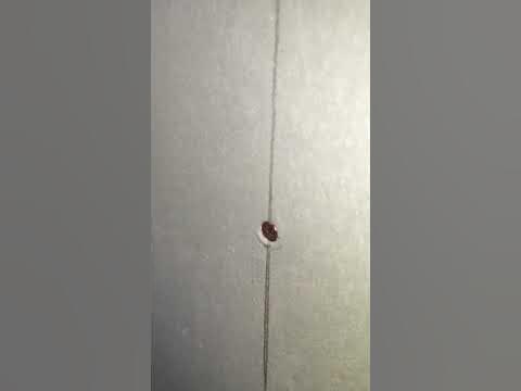 Бита с ограничителем для гипсокартона. - YouTube