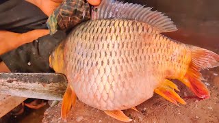 Amazing Live Fish Cutting In Bangladesh Fish Market | Fish Cutting Techniques