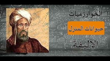 الخوارزميات تشكل حياتنا| الخوارزميات حيواناتنا الأليفة