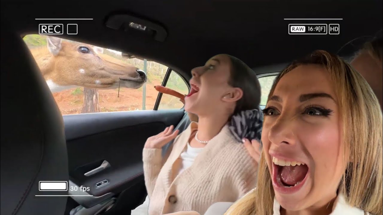 24 HORAS ALIMENTADO ANIMALES PELIGROS, VALERIA PASA MUCHO MIEDO