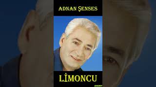 Adnan Şenses - Üzik Şeli