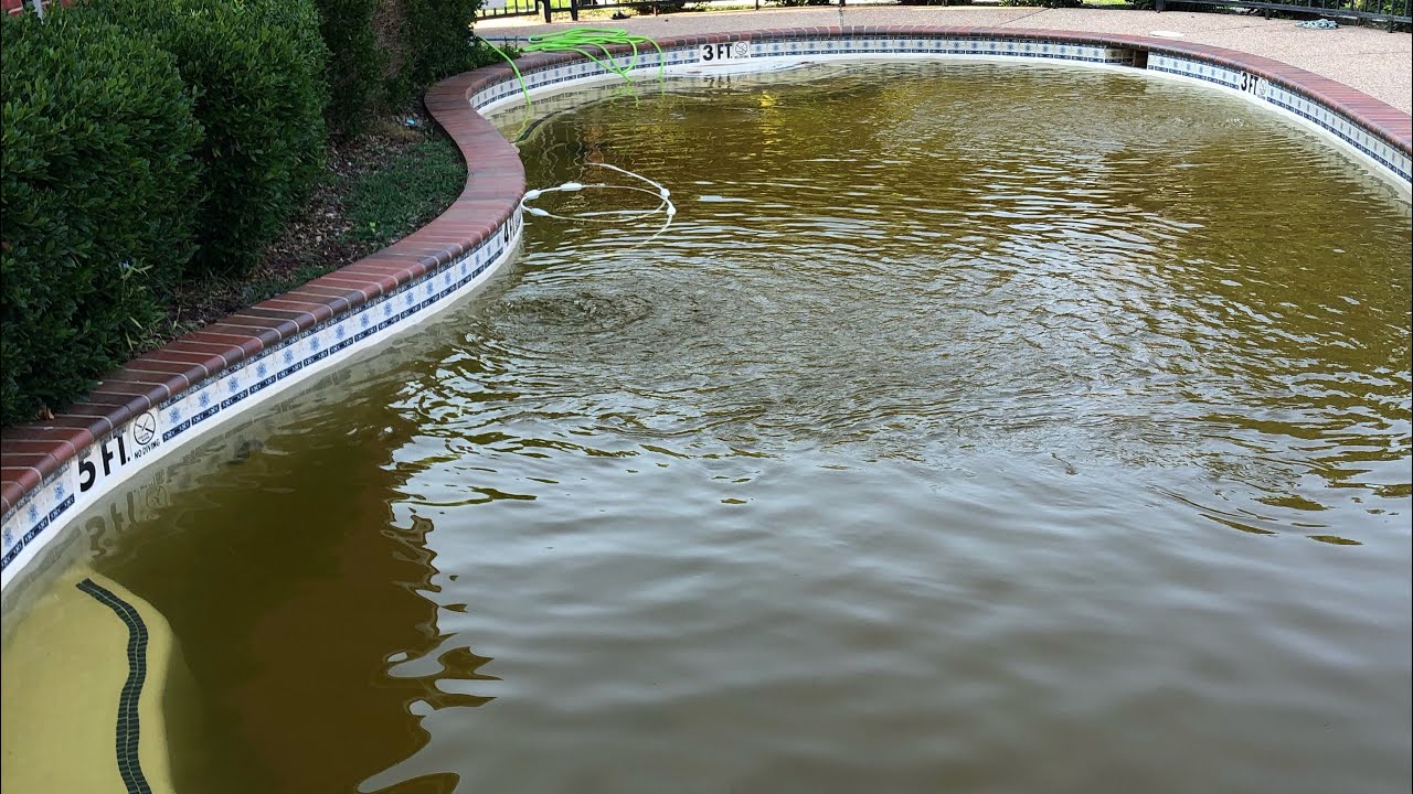 Pool Turned Green After Adding Chlorine shock YouTube
