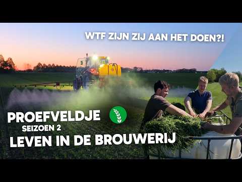 Proefveldje S2 Aflevering 5 - Leven In De Brouwerij | Plantferment | Behandelde mest | Regeneratief