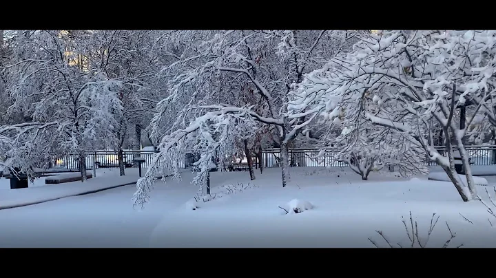 April snow blankets Minneapolis Park